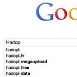 Hadopi selon Google